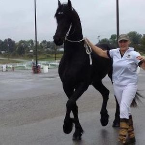 Meet your Posher, Claudia